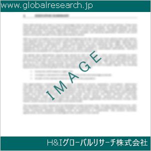 グローバルリサーチ調査資料のイメージ